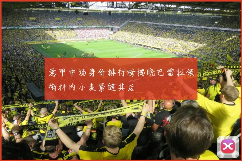 意甲中场身价排行榜揭晓巴雷拉领衔科内小麦紧随其后