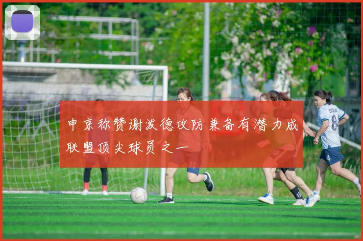 申京称赞谢泼德攻防兼备有潜力成联盟顶尖球员之一