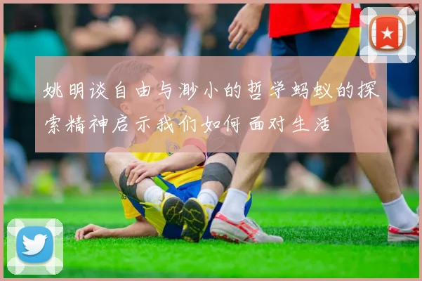 姚明谈自由与渺小的哲学蚂蚁的探索精神启示我们如何面对生活