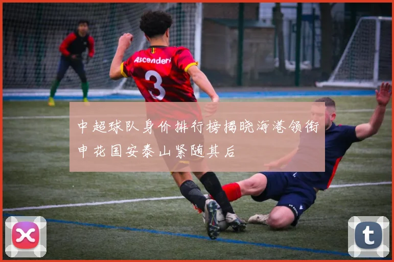 中超球队身价排行榜揭晓海港领衔申花国安泰山紧随其后