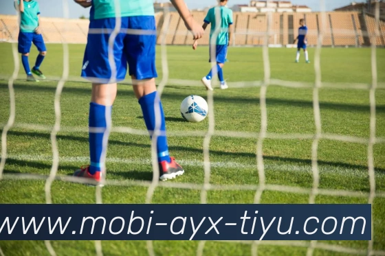 爱游戏发展历程