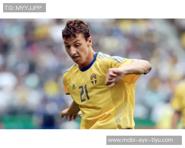 前瑞典国脚布洛林退役原因揭秘感到无趣曾获金球奖第四名