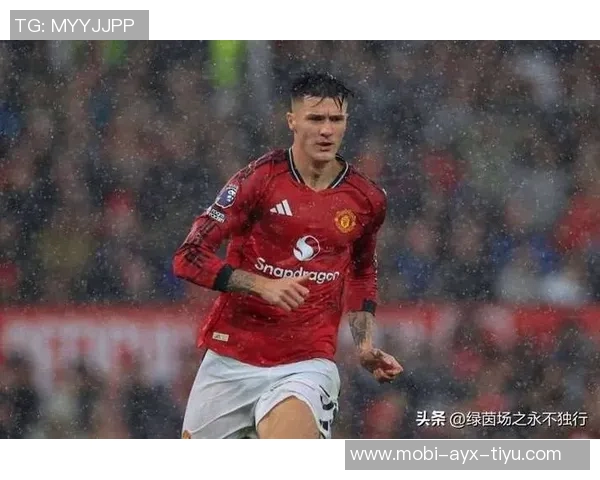 外媒评英超夏窗最差引援名单维尔茨居首伊萨克第五红军占三席 外媒评英超夏窗最差引援名单维尔茨居首伊萨克第五红军占三席